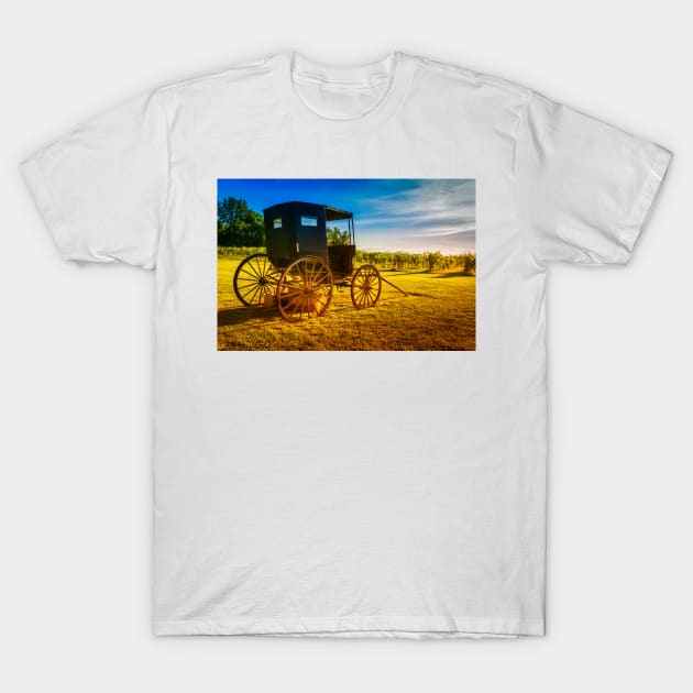 Old Horse Buggy At Sunset 1 T-Shirt by Robert Alsop